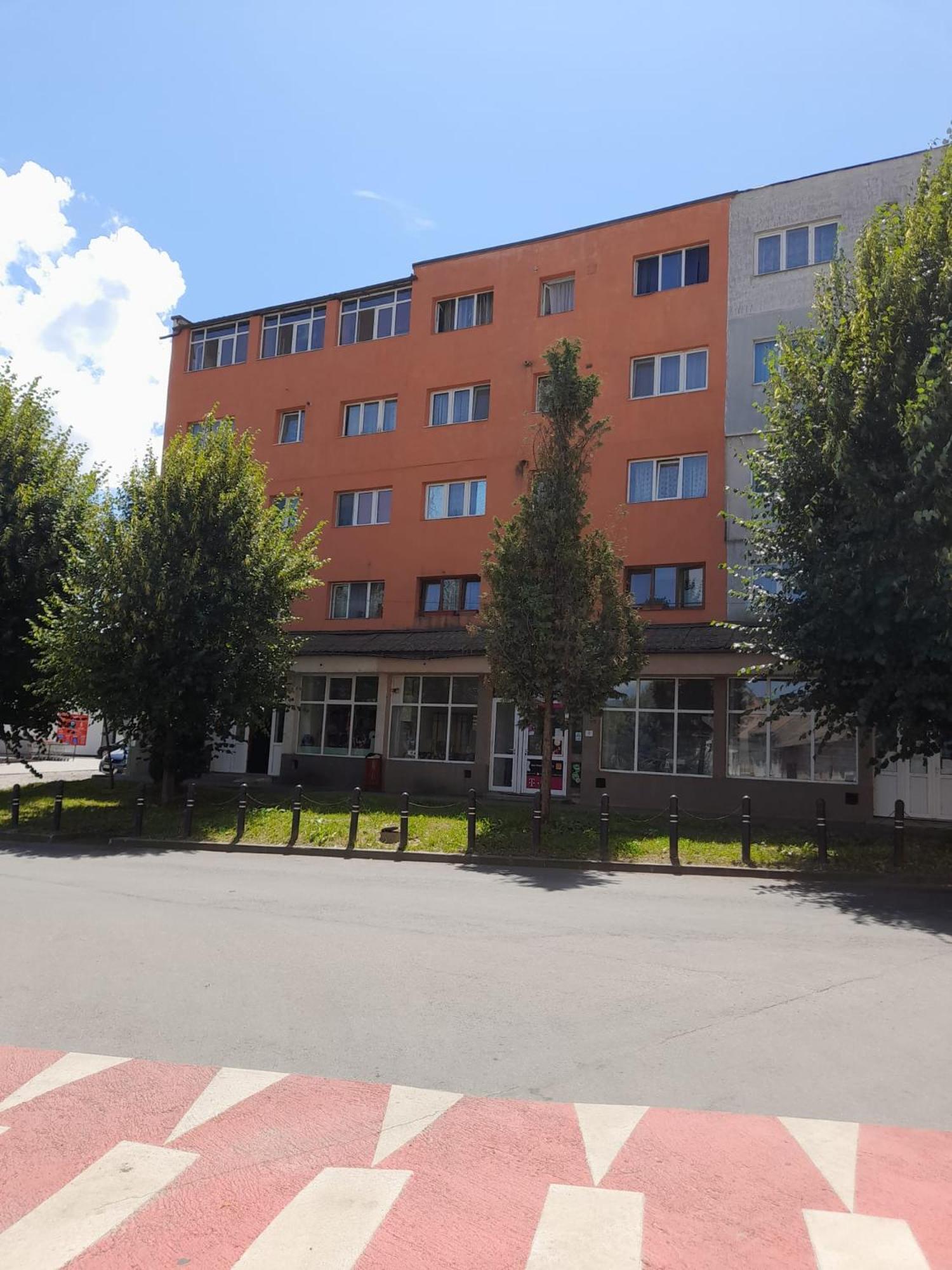 Apartamento Apartament La Ilie Ocna Sibiului Exterior foto