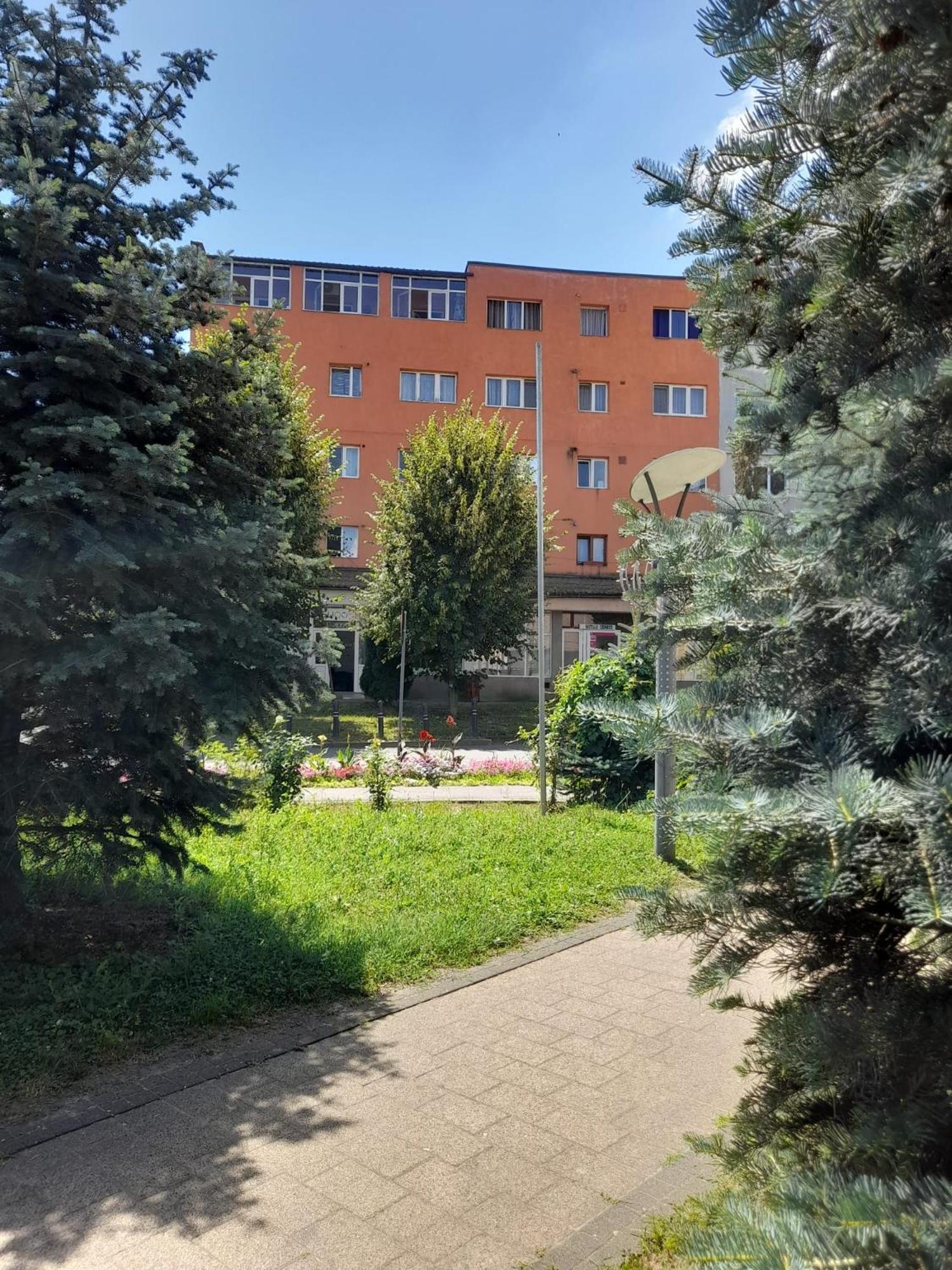 Apartamento Apartament La Ilie Ocna Sibiului Exterior foto